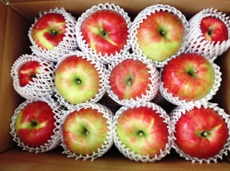 箱詰めの商品画像